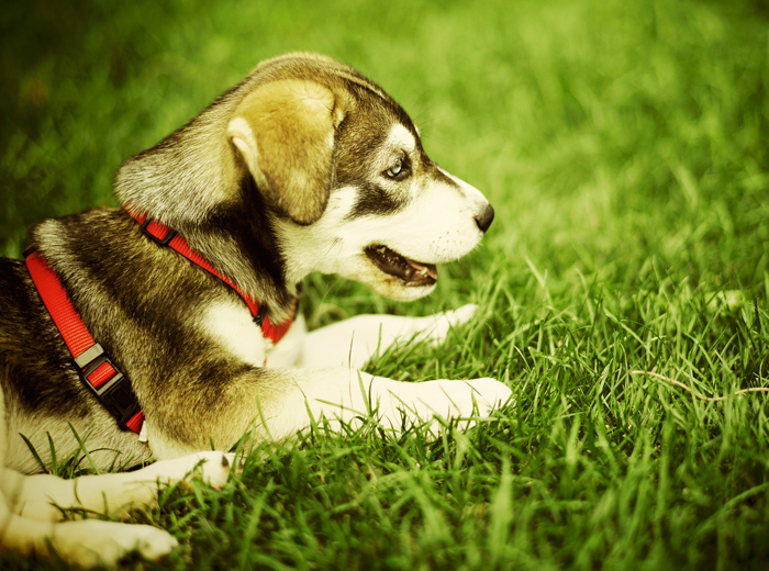 怎么去攻击一个网站与防护